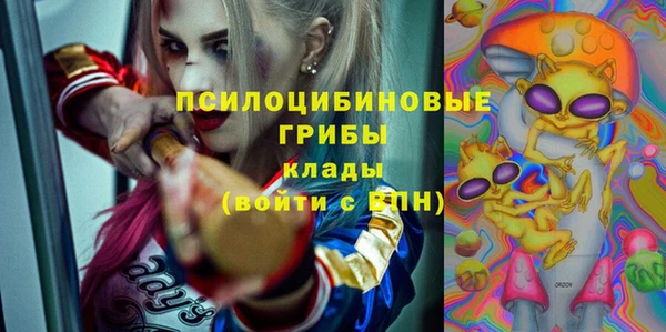 стафф Нефтегорск